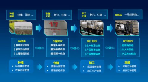 科技賦能，守護“天府糧倉”——川糧集團以全產(chǎn)業(yè)鏈云碼溯源引領糧油質(zhì)量安全新標桿